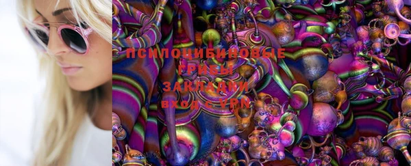 мяу мяу мука Саяногорск